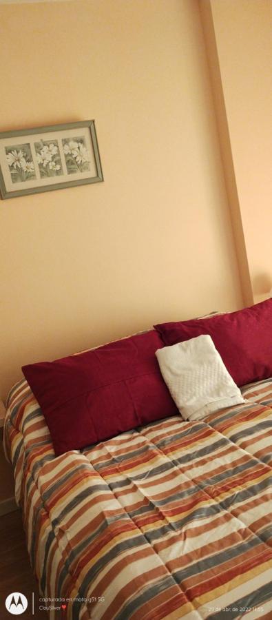 Acogedor Monoambiente Con Parking Neuquen